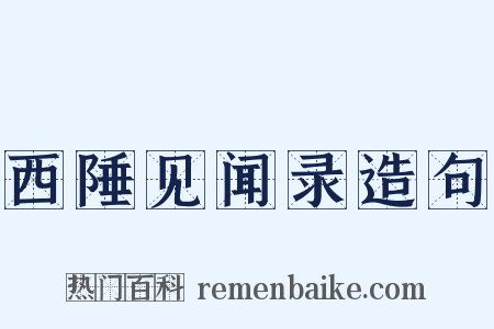 西陲见闻录造句是什么意思的图片